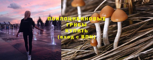 прущая мука Баксан